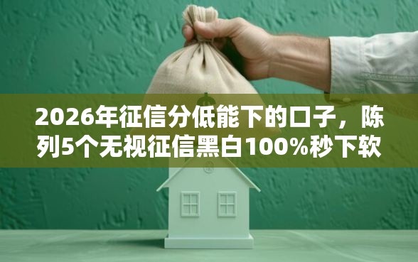 2026年征信分低能下的口子，陈列5个无视征信黑白100%秒下软件