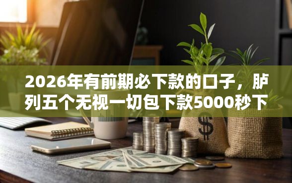2026年有前期必下款的口子，胪列五个无视一切包下款5000秒下款的软件