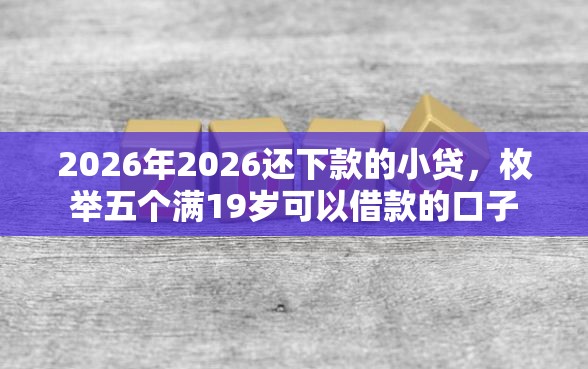 2026年2026还下款的小贷，枚举五个满19岁可以借款的口子