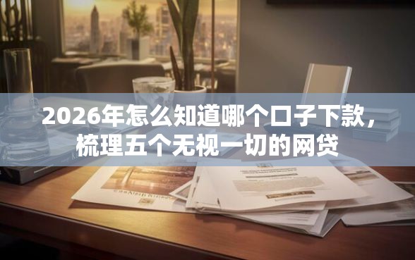 2026年怎么知道哪个口子下款，梳理五个无视一切的网贷