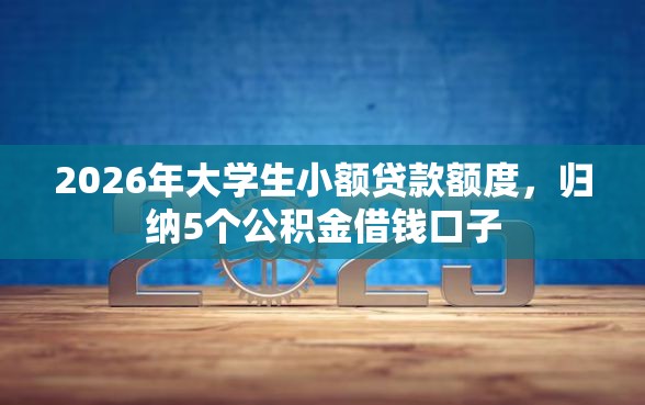 2026年大学生小额贷款额度，归纳5个公积金借钱口子