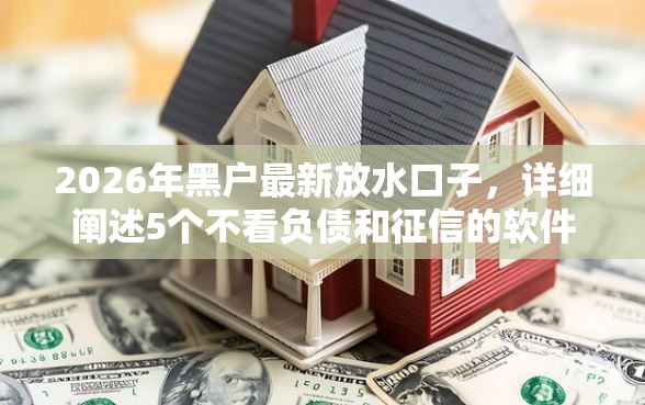 2026年黑户最新放水口子，详细阐述5个不看负债和征信的软件