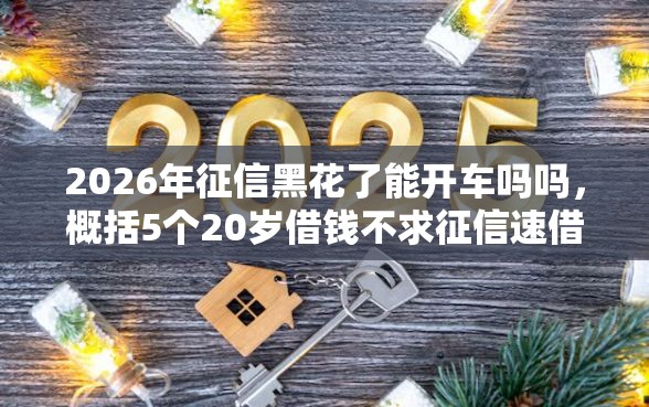 2026年征信黑花了能开车吗吗，概括5个20岁借钱不求征信速借口子