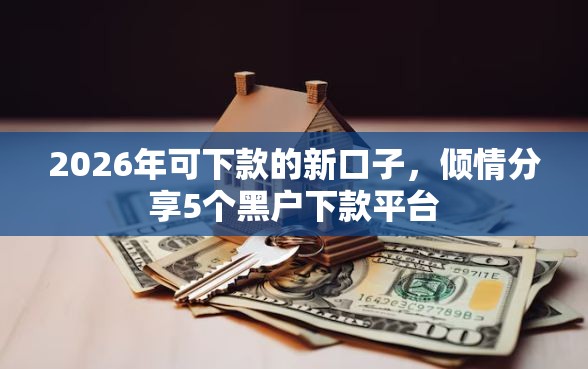 2026年可下款的新口子，倾情分享5个黑户下款平台