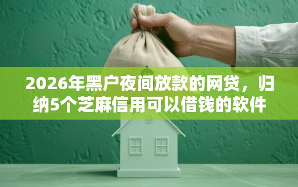 2026年黑户夜间放款的网贷，归纳5个芝麻信用可以借钱的软件