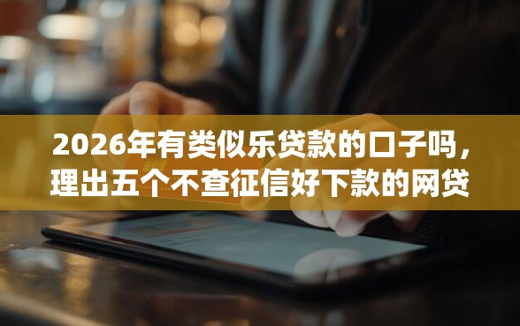 2026年有类似乐贷款的口子吗，理出五个不查征信好下款的网贷app