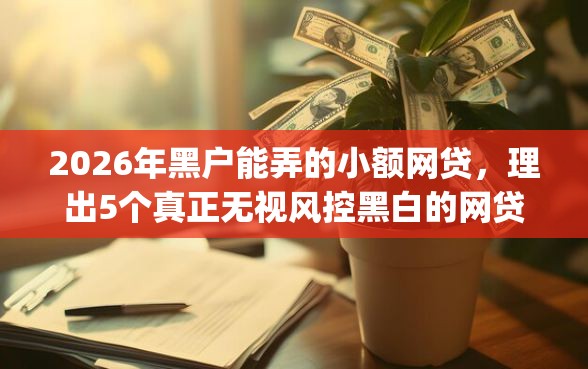 2026年黑户能弄的小额网贷，理出5个真正无视风控黑白的网贷app