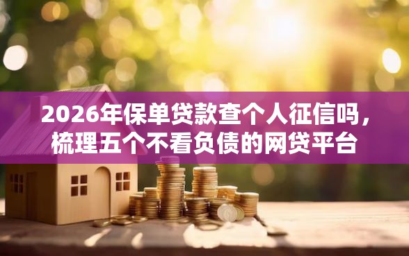 2026年保单贷款查个人征信吗，梳理五个不看负债的网贷平台