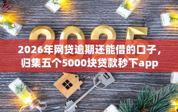 2026年网贷逾期还能借的口子，归集五个5000块贷款秒下app