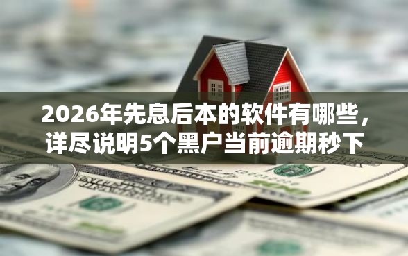 2026年先息后本的软件有哪些，详尽说明5个黑户当前逾期秒下5万平台