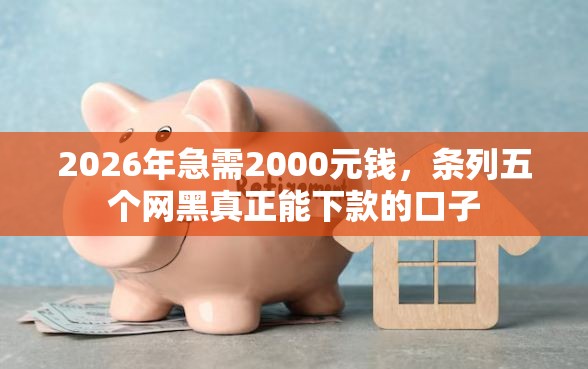 2026年急需2000元钱，条列五个网黑真正能下款的口子