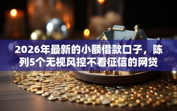 2026年最新的小额借款口子，陈列5个无视风控不看征信的网贷