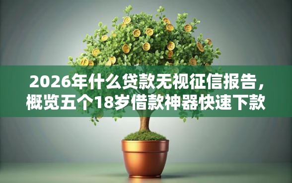 2026年什么贷款无视征信报告，概览五个18岁借款神器快速下款平台