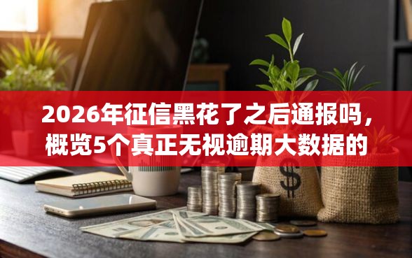 2026年征信黑花了之后通报吗，概览5个真正无视逾期大数据的网贷app