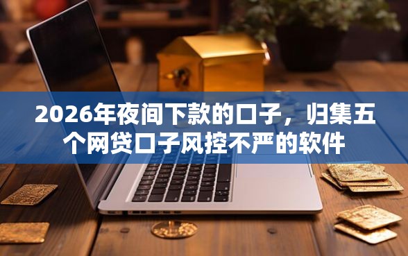 2026年夜间下款的口子，归集五个网贷口子风控不严的软件