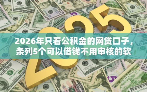 2026年只看公积金的网贷口子，条列5个可以借钱不用审核的软件