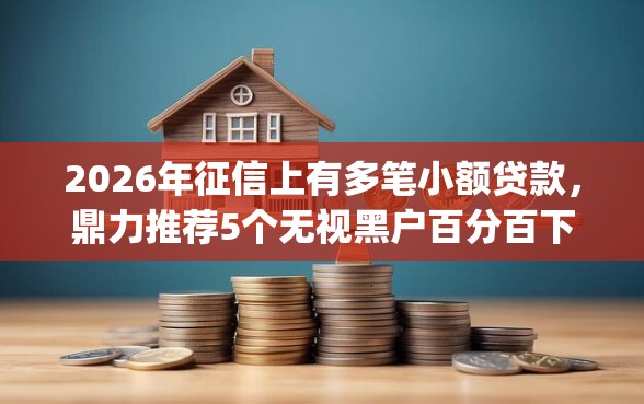 2026年征信上有多笔小额贷款，鼎力推荐5个无视黑户百分百下款app