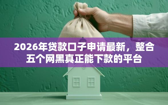 2026年贷款口子申请最新,整合五个网黑真正能下款的平台 2026年贷款口子申请最新,整合五个网黑真正能下款的平台