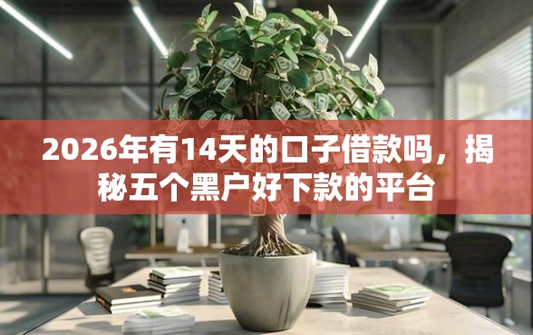 2026年有14天的口子借款吗，揭秘五个黑户好下款的平台