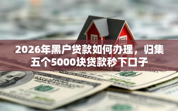 2026年黑户贷款如何办理，归集五个5000块贷款秒下口子
