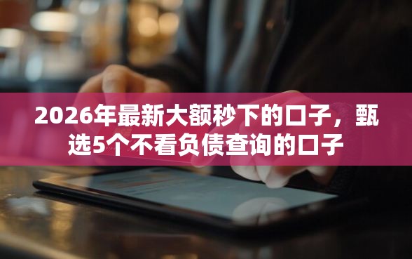 2026年最新大额秒下的口子，甄选5个不看负债查询的口子