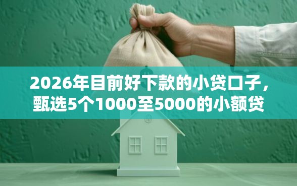 2026年目前好下款的小贷口子，甄选5个1000至5000的小额贷款平台