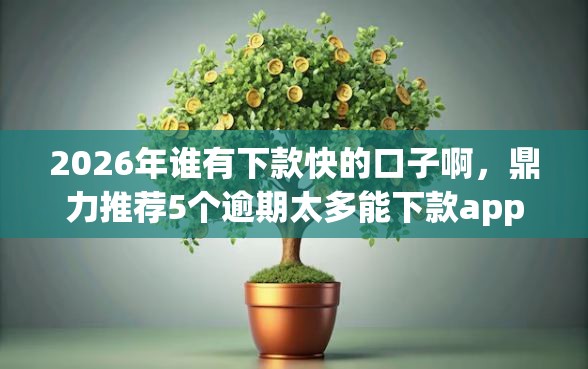 2026年谁有下款快的口子啊，鼎力推荐5个逾期太多能下款app