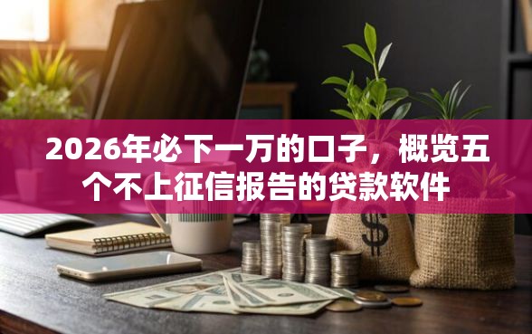 2026年必下一万的口子，概览五个不上征信报告的贷款软件