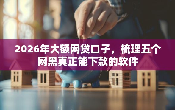 2026年大额网贷口子，梳理五个网黑真正能下款的软件