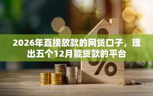 2026年直接放款的网贷口子，理出五个12月能贷款的平台