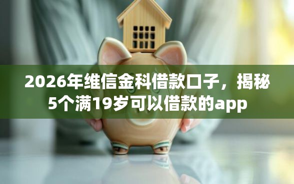 2026年维信金科借款口子，揭秘5个满19岁可以借款的app