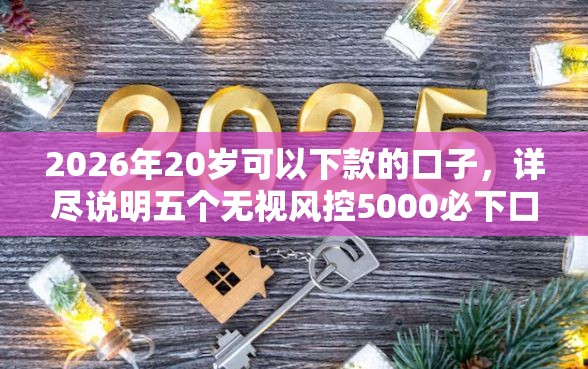 2026年20岁可以下款的口子，详尽说明五个无视风控5000必下口子