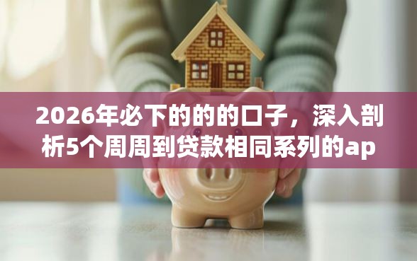 2026年必下的的的口子，深入剖析5个周周到贷款相同系列的app