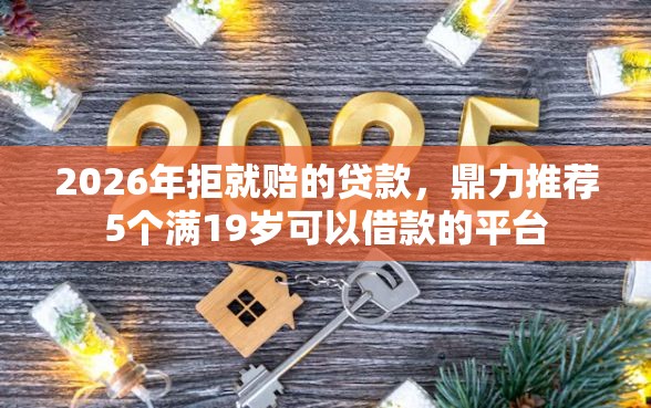 2026年拒就赔的贷款，鼎力推荐5个满19岁可以借款的平台