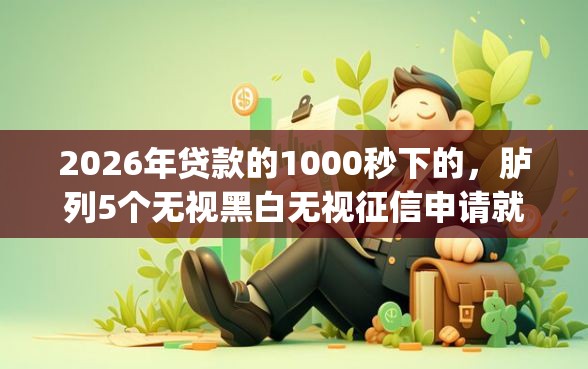 2026年贷款的1000秒下的，胪列5个无视黑白无视征信申请就下款的app