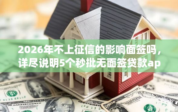 2026年不上征信的影响面签吗，详尽说明5个秒批无面签贷款app