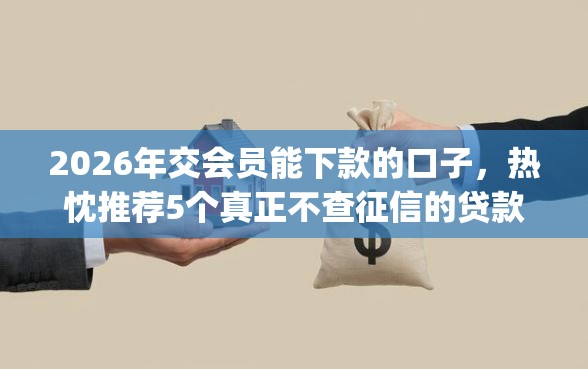 2026年交会员能下款的口子，热忱推荐5个真正不查征信的贷款app