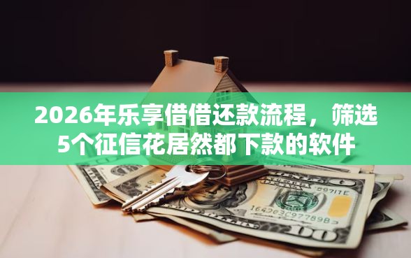 2026年乐享借借还款流程，筛选5个征信花居然都下款的软件