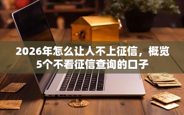 2026年怎么让人不上征信，概览5个不看征信查询的口子