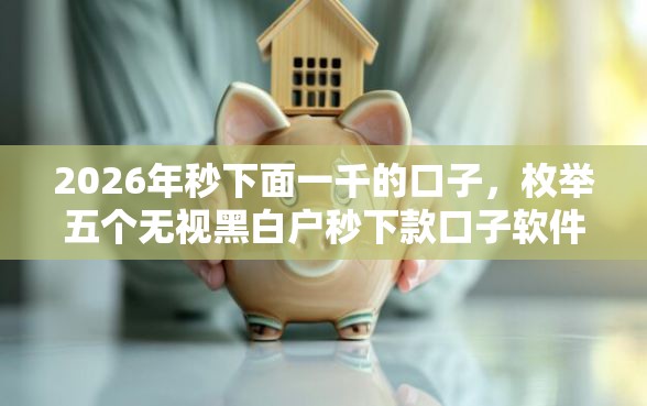 2026年秒下面一千的口子，枚举五个无视黑白户秒下款口子软件