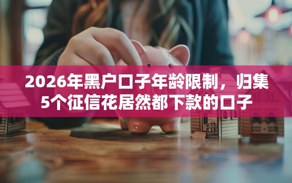 2026年黑户口子年龄限制，归集5个征信花居然都下款的口子