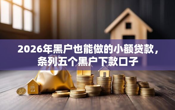 2026年黑户也能做的小额贷款，条列五个黑户下款口子