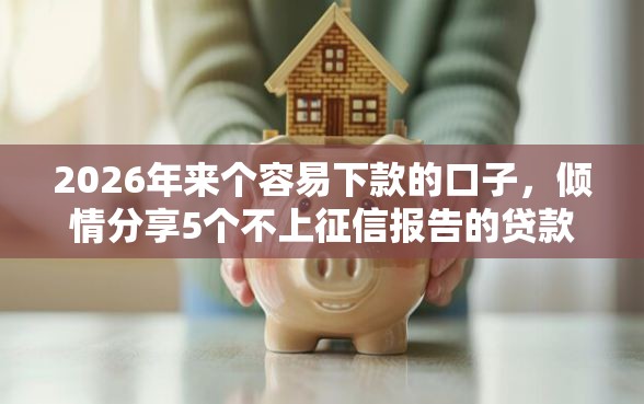 2026年来个容易下款的口子，倾情分享5个不上征信报告的贷款平台