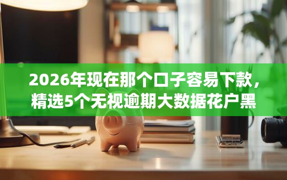2026年现在那个口子容易下款，精选5个无视逾期大数据花户黑户app