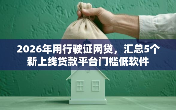 2026年用行驶证网贷，汇总5个新上线贷款平台门槛低软件