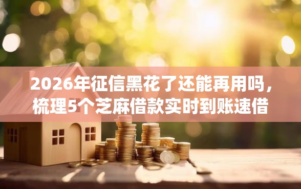 2026年征信黑花了还能再用吗，梳理5个芝麻借款实时到账速借app