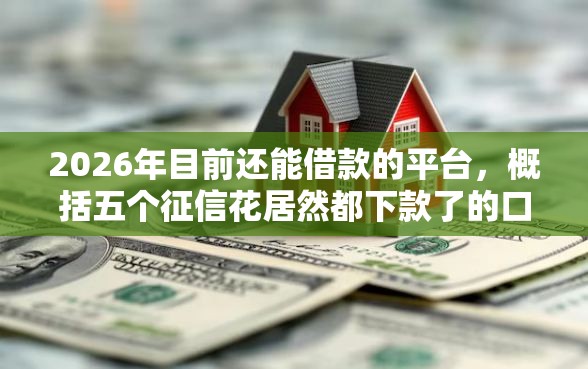 2026年目前还能借款的平台，概括五个征信花居然都下款了的口子