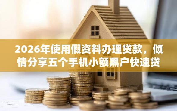 2026年使用假资料办理贷款，倾情分享五个手机小额黑户快速贷款app