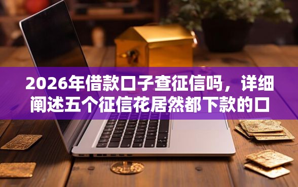 2026年借款口子查征信吗，详细阐述五个征信花居然都下款的口子