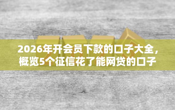 2026年开会员下款的口子大全，概览5个征信花了能网贷的口子